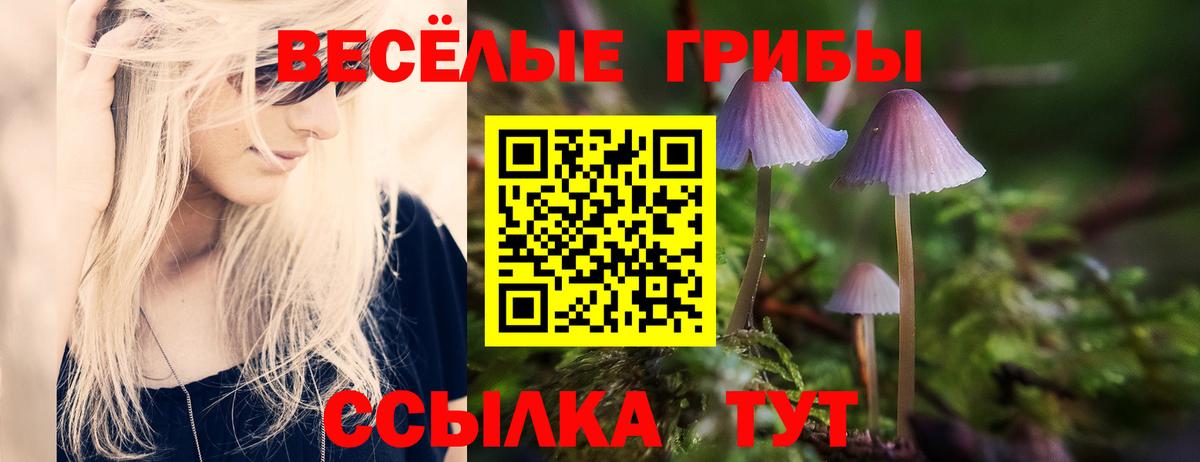 Псилоцибиновые грибы мухоморы Коммунар